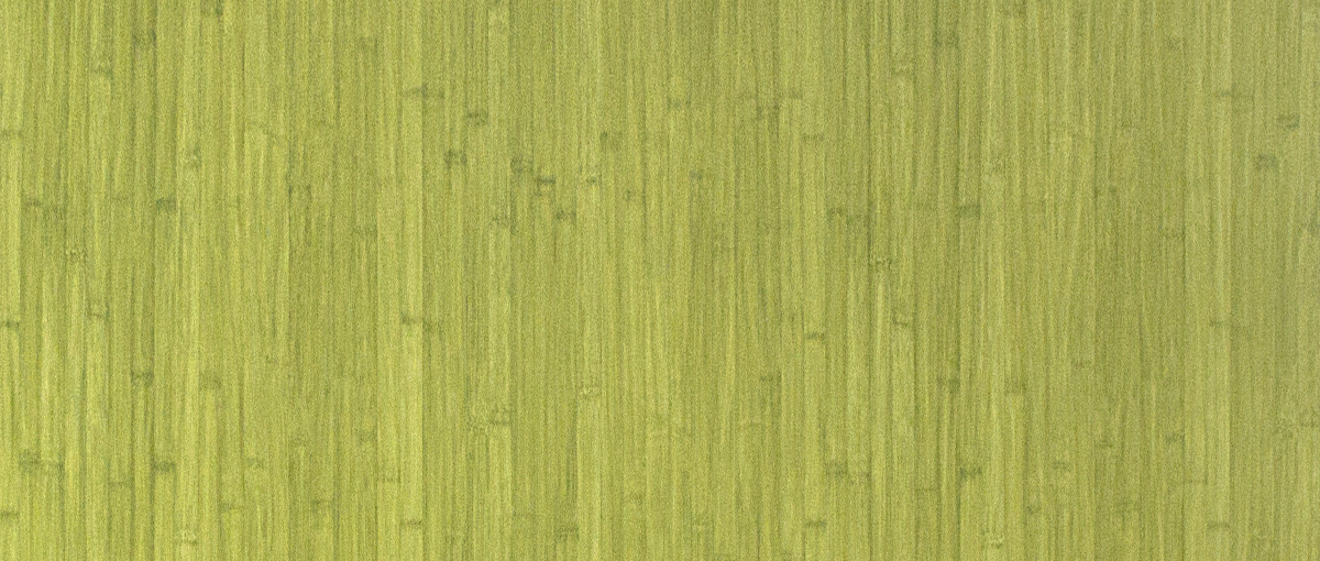 3911 Green Bamboo